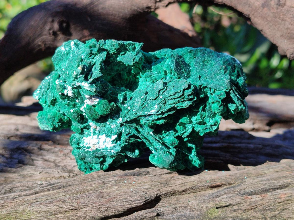 Natural Cabinet Size Bladed Malachite Pseudomorph after Azurite Specimen x 1 From Kolwezi, Congo