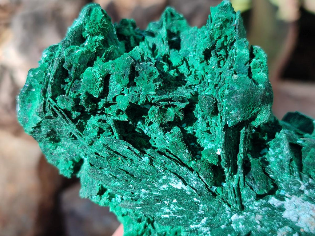 Natural Cabinet Size Bladed Malachite Pseudomorph after Azurite Specimen x 1 From Kolwezi, Congo