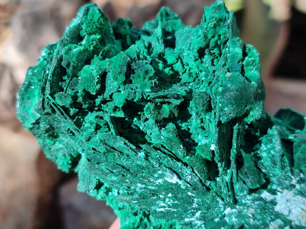 Natural Cabinet Size Bladed Malachite Pseudomorph after Azurite Specimen x 1 From Kolwezi, Congo