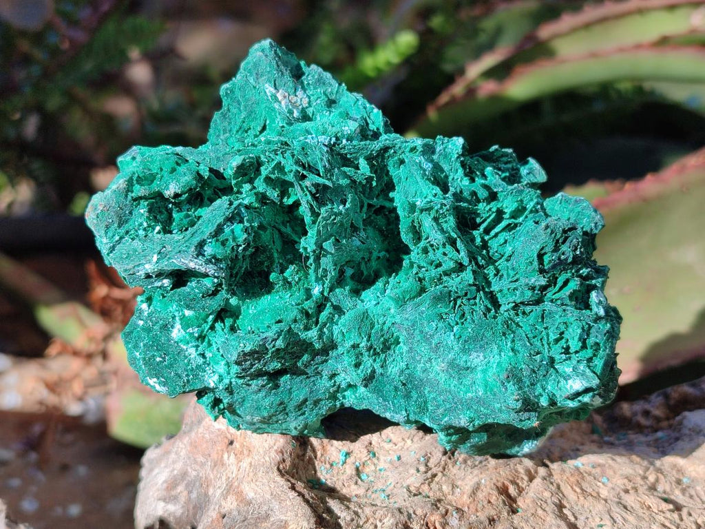 Natural Cabinet Size Bladed Malachite Pseudomorph after Azurite Specimen x 1 From Kolwezi, Congo