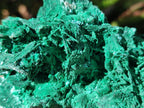 Natural Cabinet Size Bladed Malachite Pseudomorph after Azurite Specimen x 1 From Kolwezi, Congo