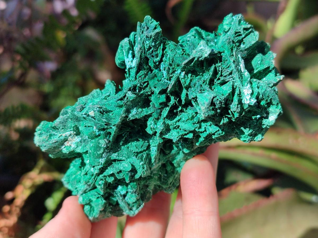 Natural Cabinet Size Bladed Malachite Pseudomorph after Azurite Specimen x 1 From Kolwezi, Congo