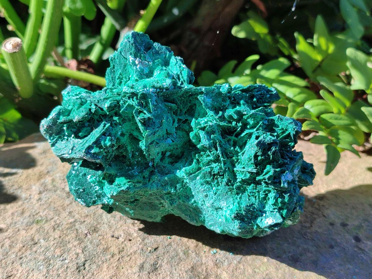Natural Cabinet Size Bladed Malachite Pseudomorph after Azurite Specimen x 1 From Kolwezi, Congo
