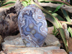 Polished Large Shashe River Agate Standing Display Piece x 1 From Zimbabwe