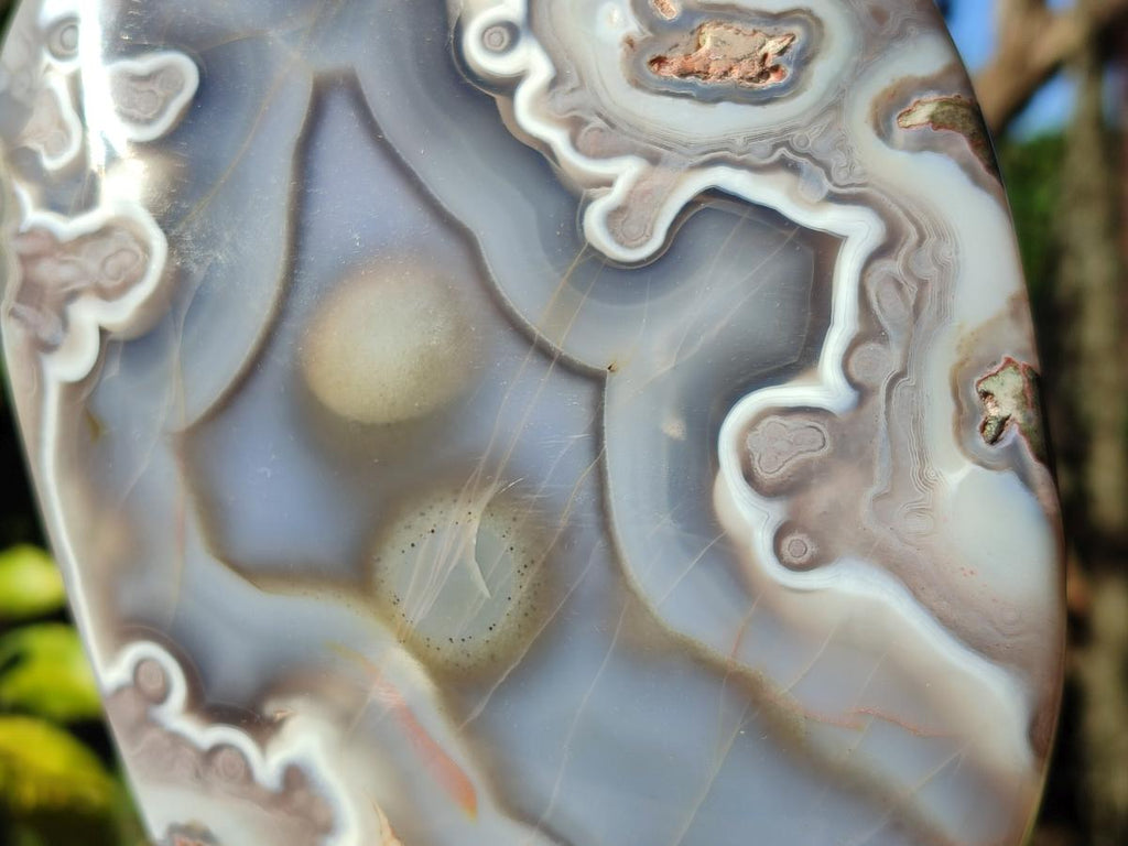 Polished Large Shashe River Agate Standing Display Piece x 1 From Zimbabwe