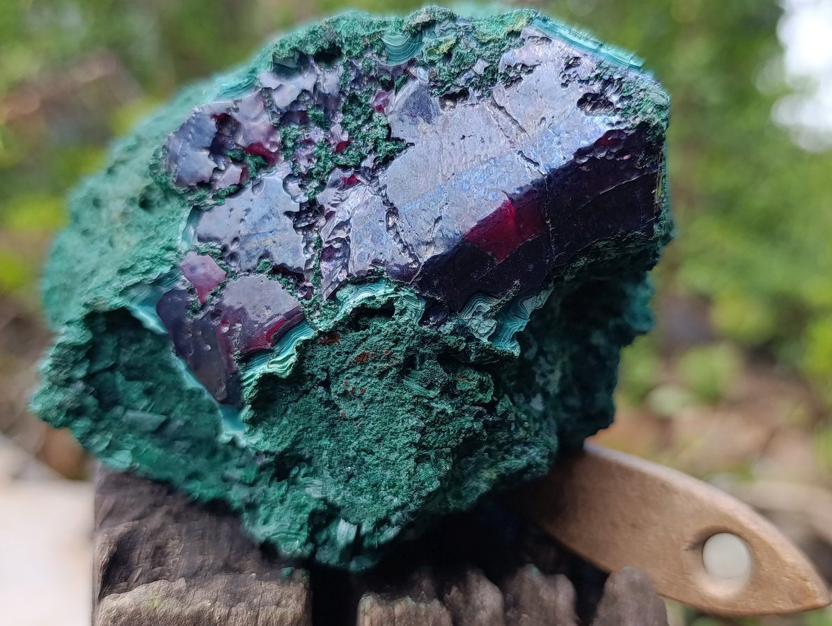 Natural Large Red Cuprite and Silky Malachite Specimen x 1 From Mashamba West, Congo