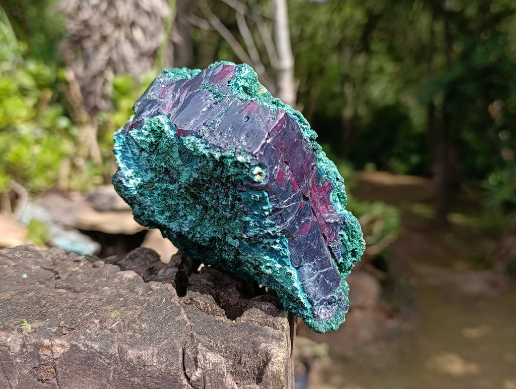 Natural Large Red Cuprite and Silky Malachite Specimen x 1 From Mashamba West, Congo