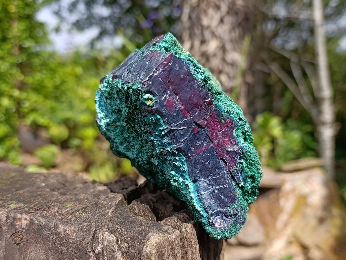 Natural Large Red Cuprite and Silky Malachite Specimen x 1 From Mashamba West, Congo
