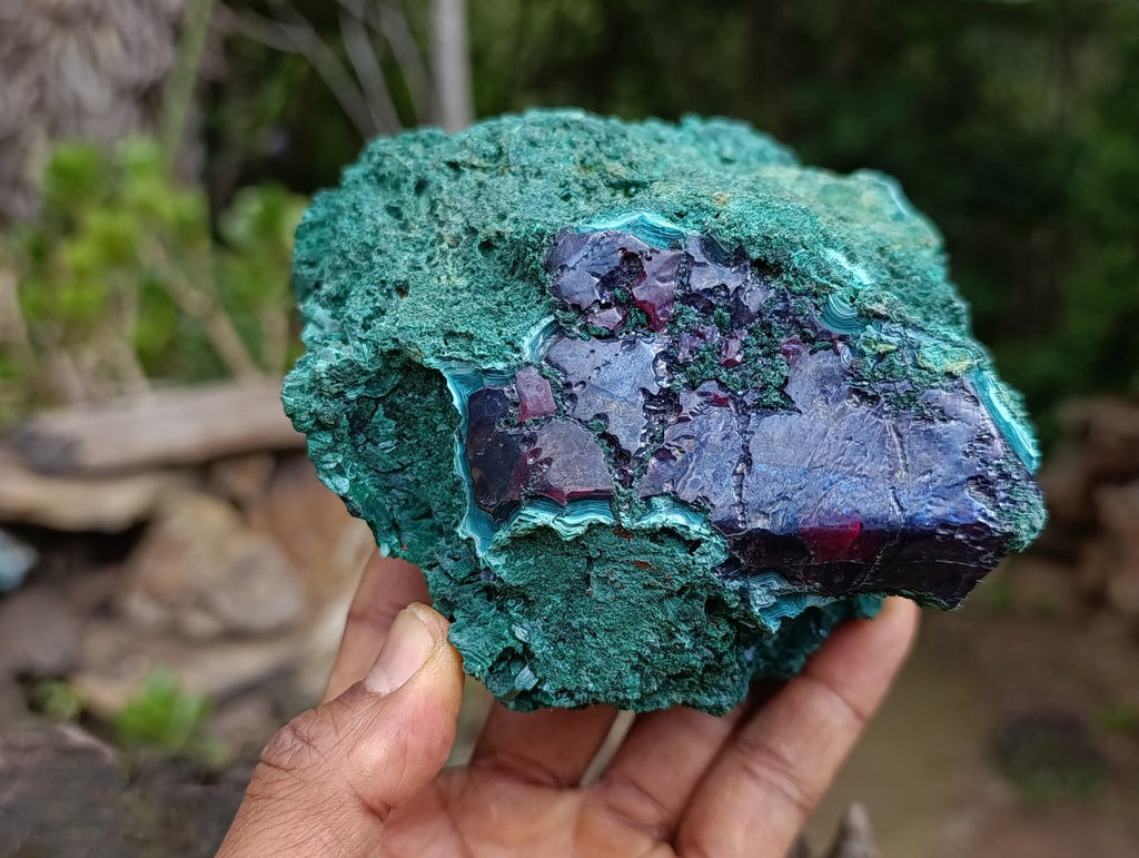 Natural Large Red Cuprite and Silky Malachite Specimen x 1 From Mashamba West, Congo