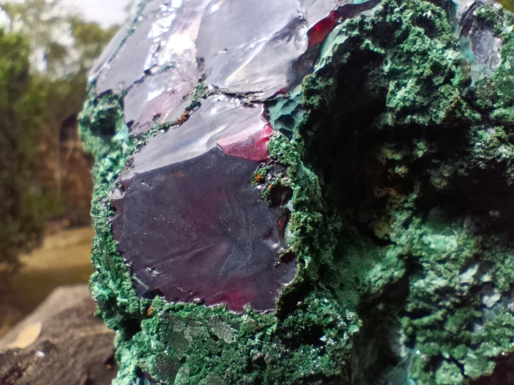 Natural Large Red Cuprite and Silky Malachite Specimen x 1 From Mashamba West, Congo