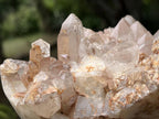 Natural Large Hematoid Quartz Crystal Cluster x 1 From Karoi, Zimbabwe