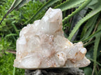 Natural Large Hematoid Quartz Crystal Cluster x 1 From Karoi, Zimbabwe