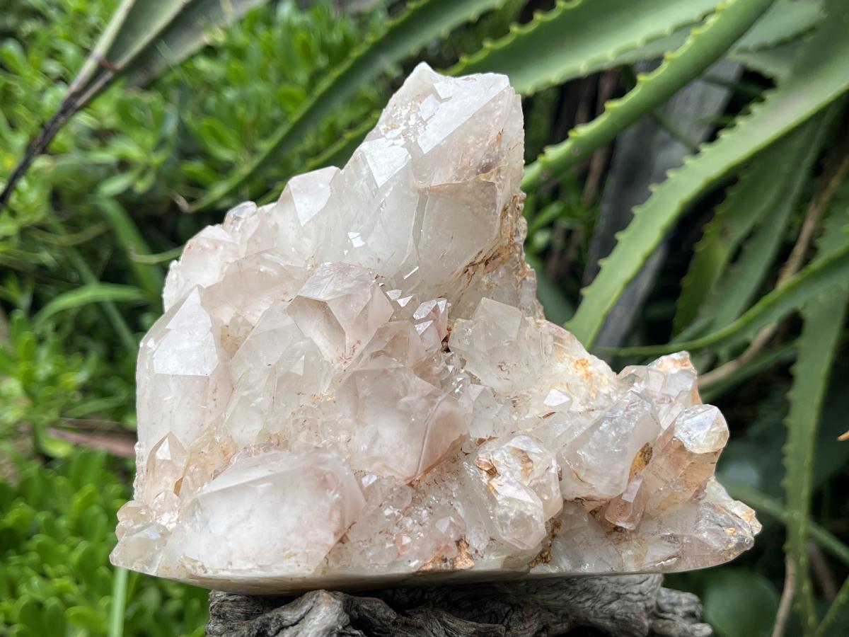 Natural Large Hematoid Quartz Crystal Cluster x 1 From Karoi, Zimbabwe