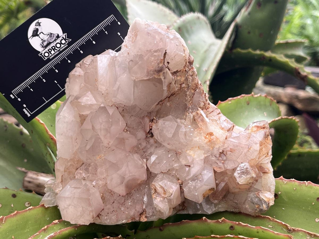 Natural Large Hematoid Quartz Crystal Cluster x 1 From Karoi, Zimbabwe