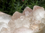 Natural Large Hematoid Quartz Crystal Cluster x 1 From Karoi, Zimbabwe