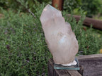 Natural Super Rare Ajoite Specimen x 1 From Messina Mine, South Africa