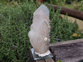 Natural Super Rare Ajoite Specimen x 1 From Messina Mine, South Africa