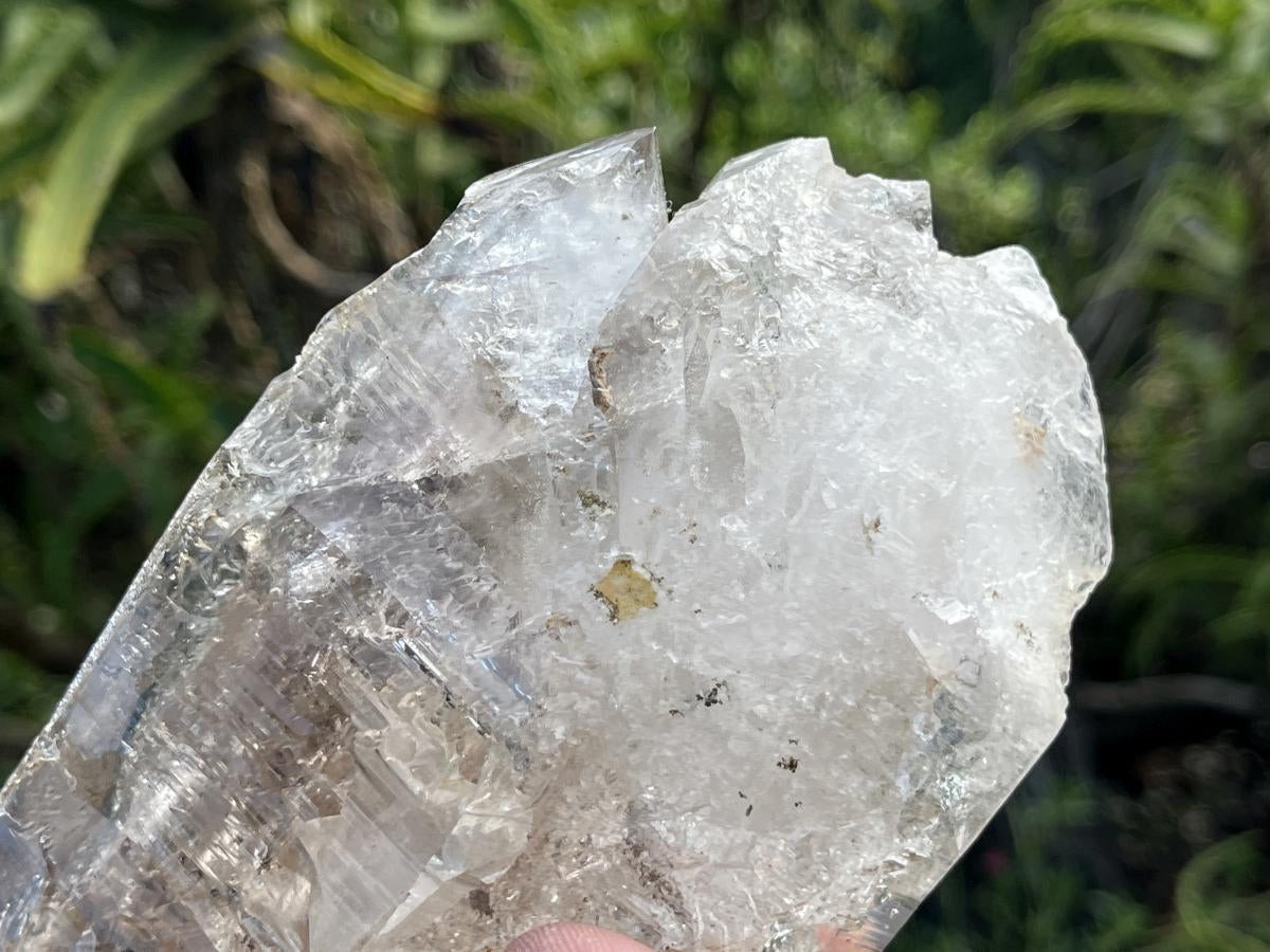 Natural XL Smokey Window Quartz Double Enhydro Crystal x 1 From Brandberg, Namibia