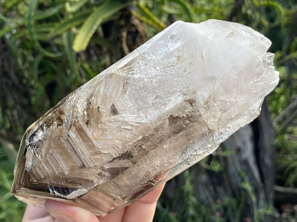 Natural XL Smokey Window Quartz Double Enhydro Crystal x 1 From Brandberg, Namibia