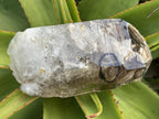 Natural XL Smokey Window Quartz Double Enhydro Crystal x 1 From Brandberg, Namibia