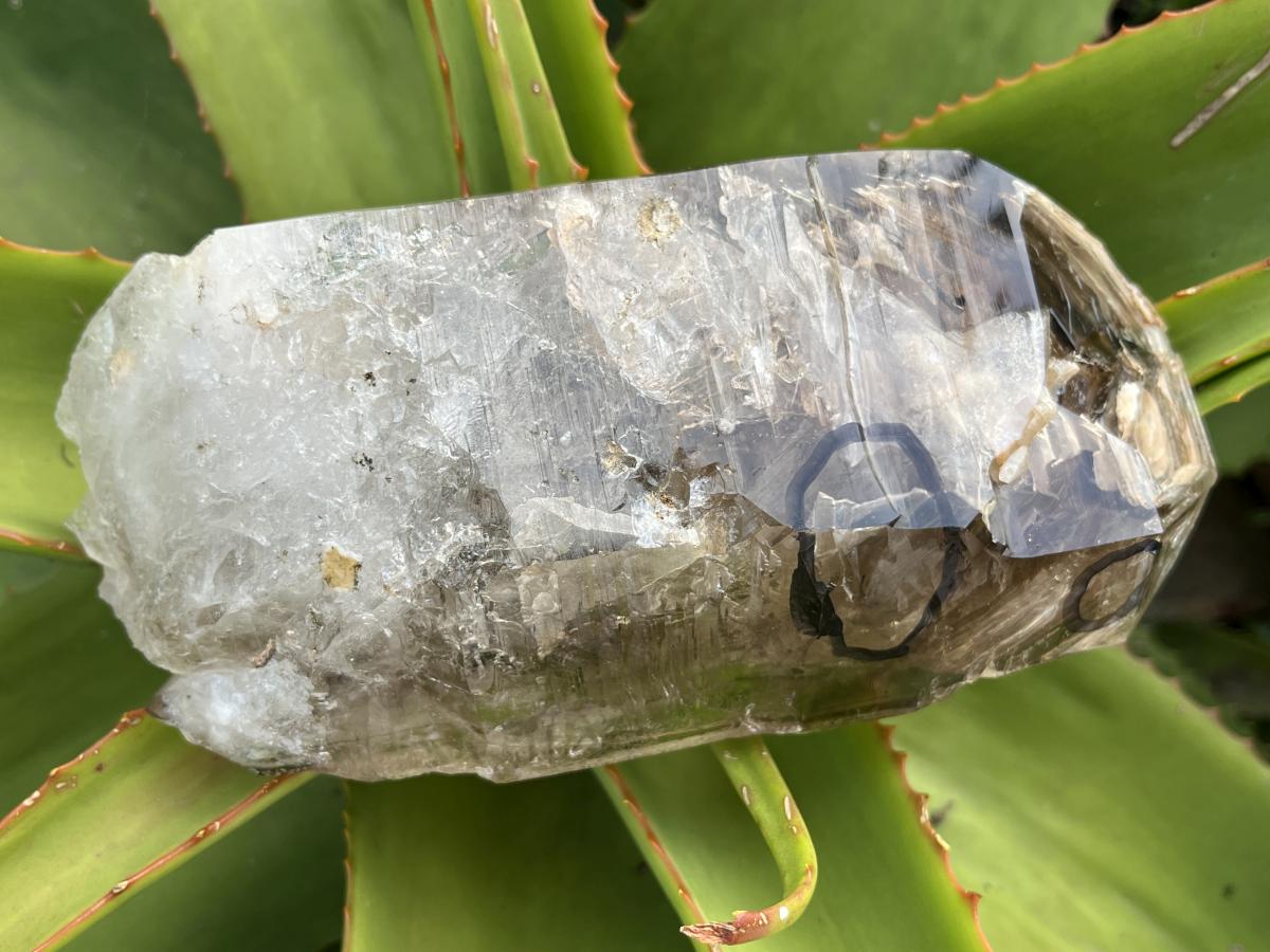 Natural XL Smokey Window Quartz Double Enhydro Crystal x 1 From Brandberg, Namibia