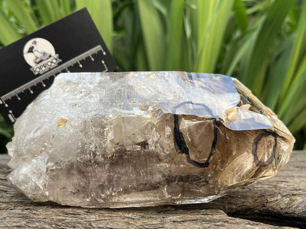 Natural XL Smokey Window Quartz Double Enhydro Crystal x 1 From Brandberg, Namibia