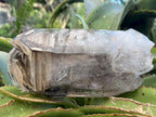 Natural XL Smokey Window Quartz Double Enhydro Crystal x 1 From Brandberg, Namibia