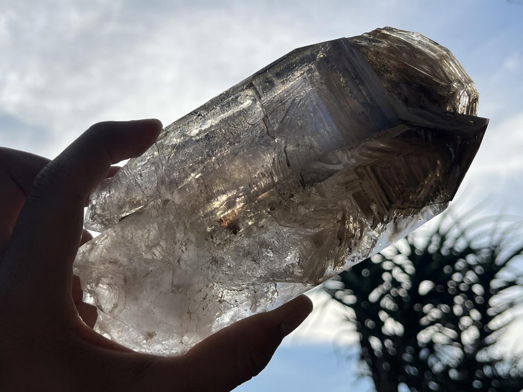 Natural XL Smokey Window Quartz Double Enhydro Crystal x 1 From Brandberg, Namibia