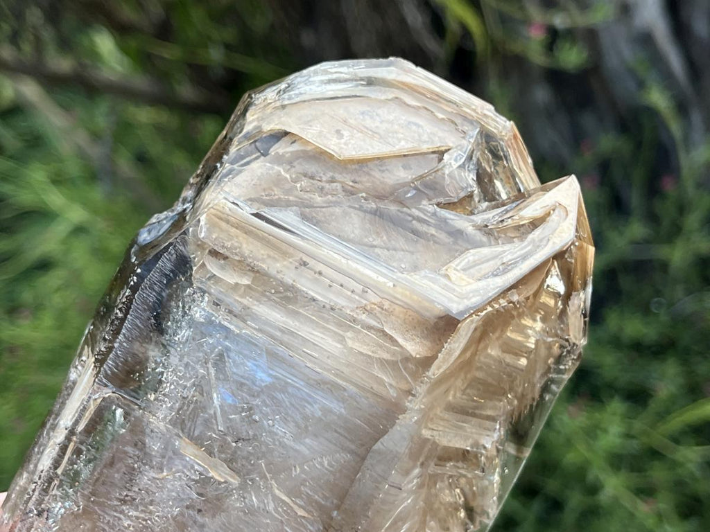 Natural XL Smokey Window Quartz Double Enhydro Crystal x 1 From Brandberg, Namibia