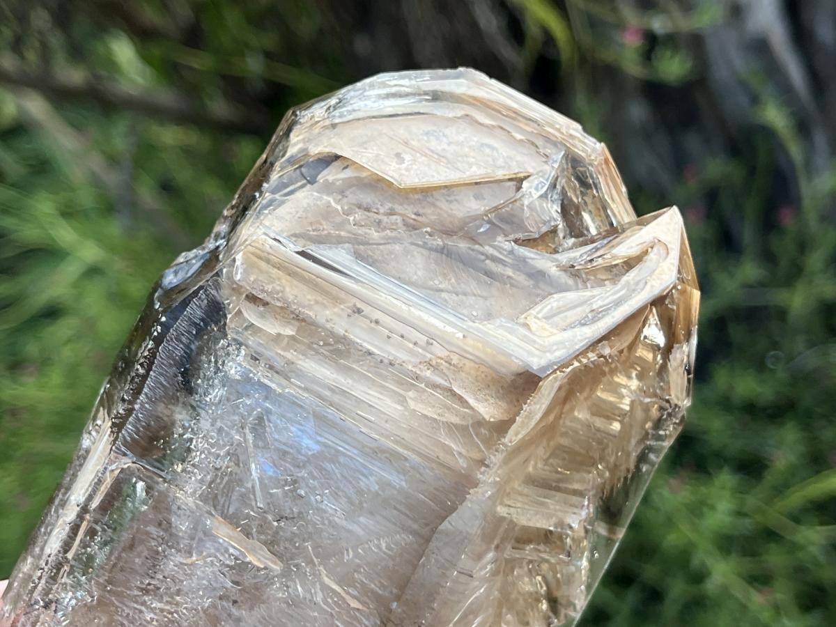 Natural XL Smokey Window Quartz Double Enhydro Crystal x 1 From Brandberg, Namibia