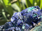 Natural Ultra Rare Large Azurite Crystal Specimen x 1 From Tsumeb, Namibia