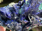Natural Ultra Rare Large Azurite Crystal Specimen x 1 From Tsumeb, Namibia