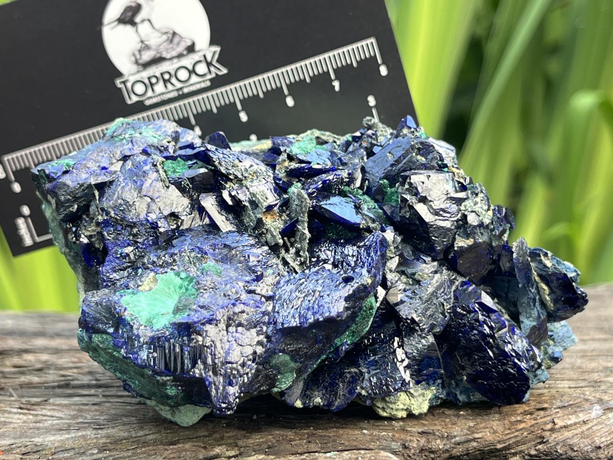 Natural Ultra Rare Large Azurite Crystal Specimen x 1 From Tsumeb, Namibia