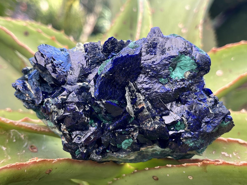 Natural Ultra Rare Large Azurite Crystal Specimen x 1 From Tsumeb, Namibia