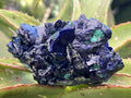 Natural Ultra Rare Large Azurite Crystal Specimen x 1 From Tsumeb, Namibia