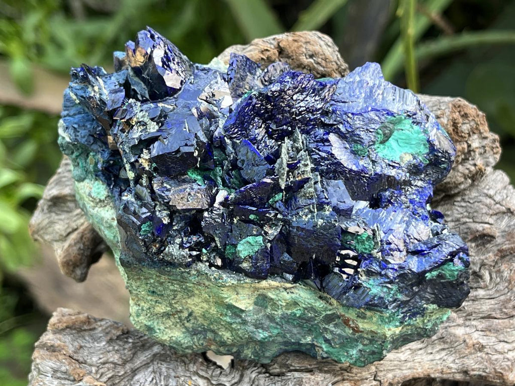 Natural Ultra Rare Large Azurite Crystal Specimen x 1 From Tsumeb, Namibia