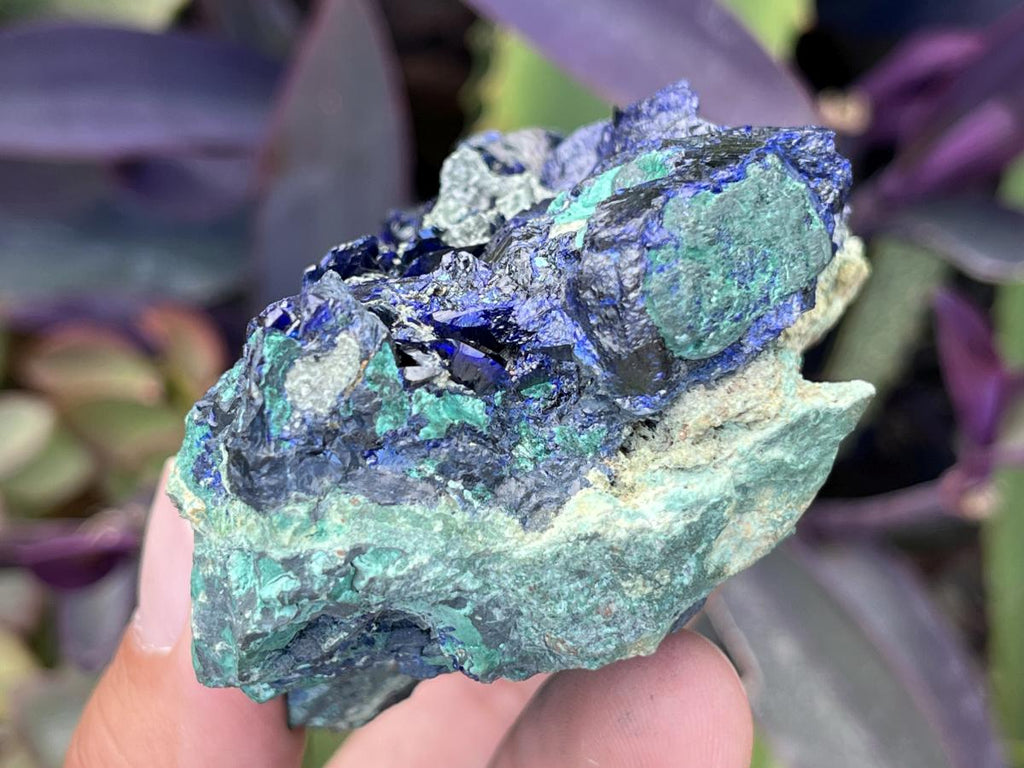 Natural Ultra Rare Large Azurite Crystal Specimen x 1 From Tsumeb, Namibia