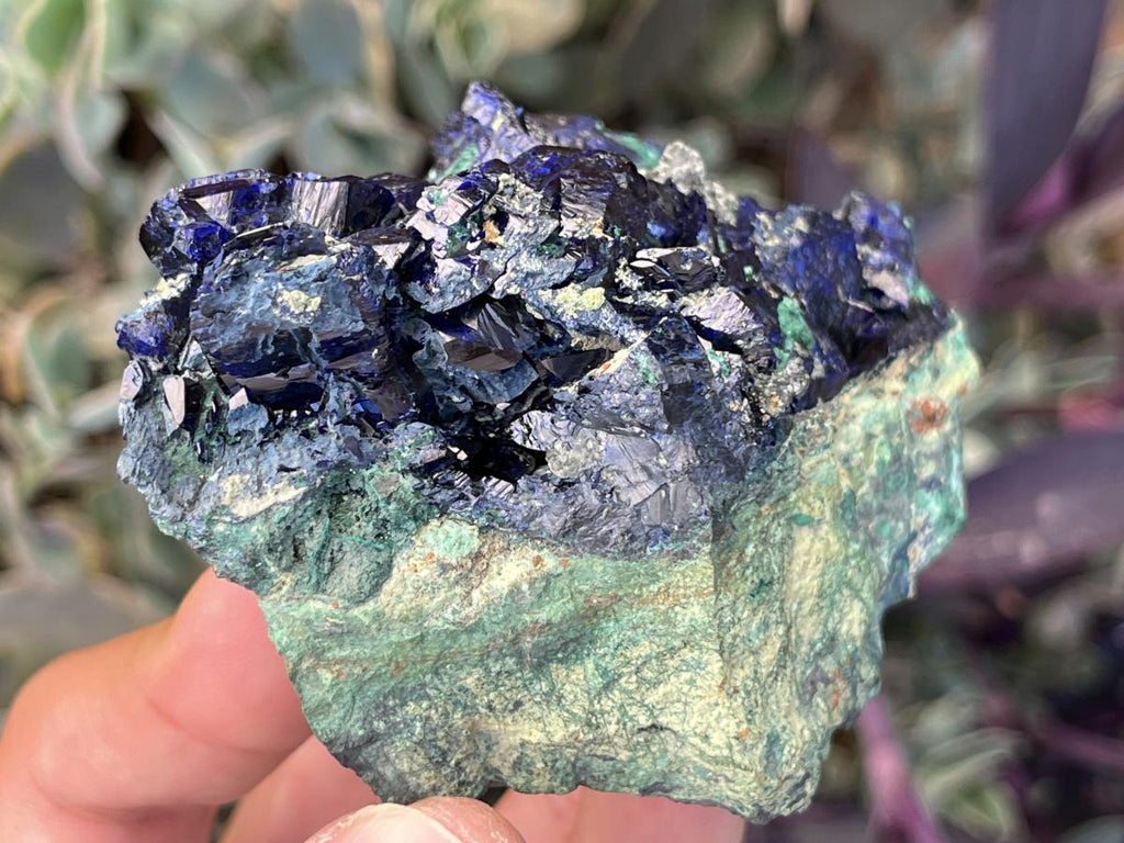 Natural Ultra Rare Large Azurite Crystal Specimen x 1 From Tsumeb, Namibia