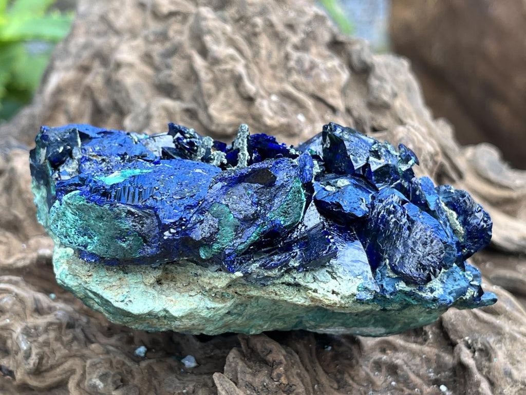Natural Ultra Rare Large Azurite Crystal Specimen x 1 From Tsumeb, Namibia
