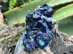 Natural Ultra Rare Large Azurite Crystal Specimen x 1 From Tsumeb, Namibia