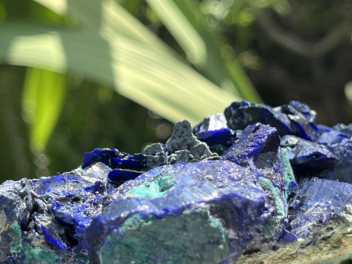 Natural Ultra Rare Large Azurite Crystal Specimen x 1 From Tsumeb, Namibia
