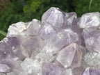Natural Medium Jacaranda Amethyst Crystal Plate Cluster x 1 From Mumbwa, Zambia