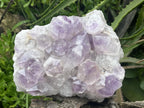 Natural Medium Jacaranda Amethyst Crystal Plate Cluster x 1 From Mumbwa, Zambia