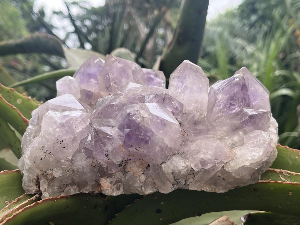Natural Medium Jacaranda Amethyst Crystal Plate Cluster x 1 From Mumbwa, Zambia
