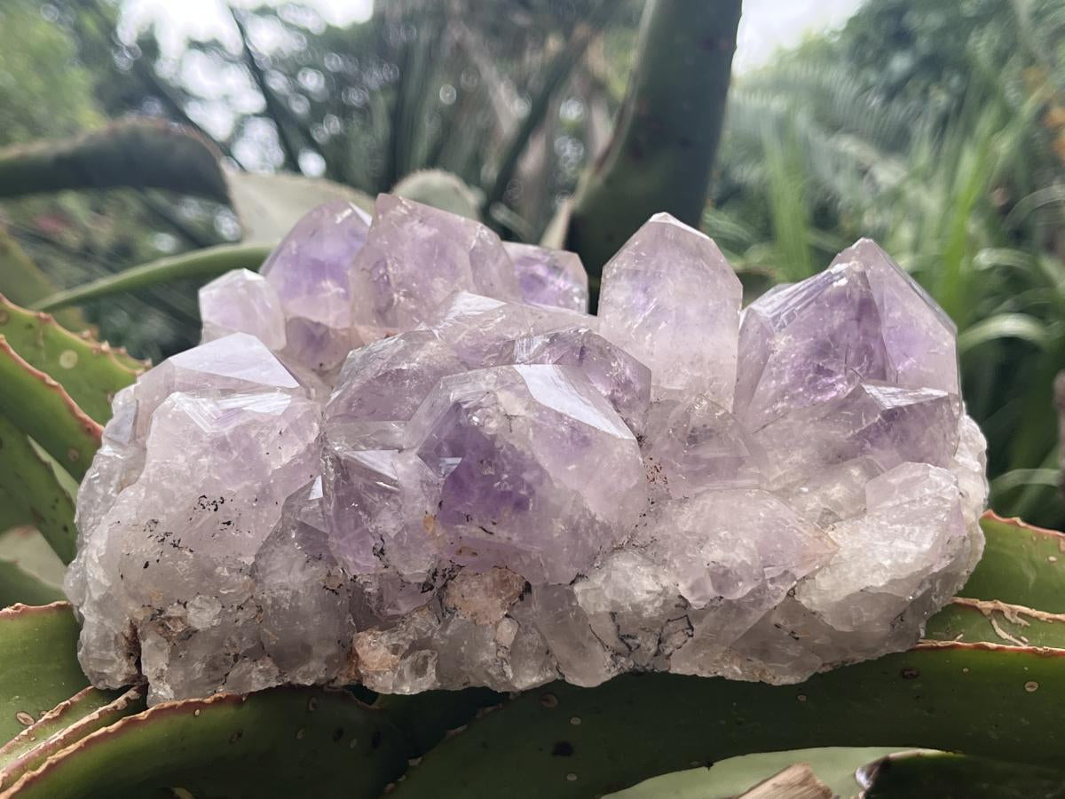 Natural Medium Jacaranda Amethyst Crystal Plate Cluster x 1 From Mumbwa, Zambia