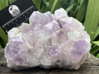 Natural Medium Jacaranda Amethyst Crystal Plate Cluster x 1 From Mumbwa, Zambia
