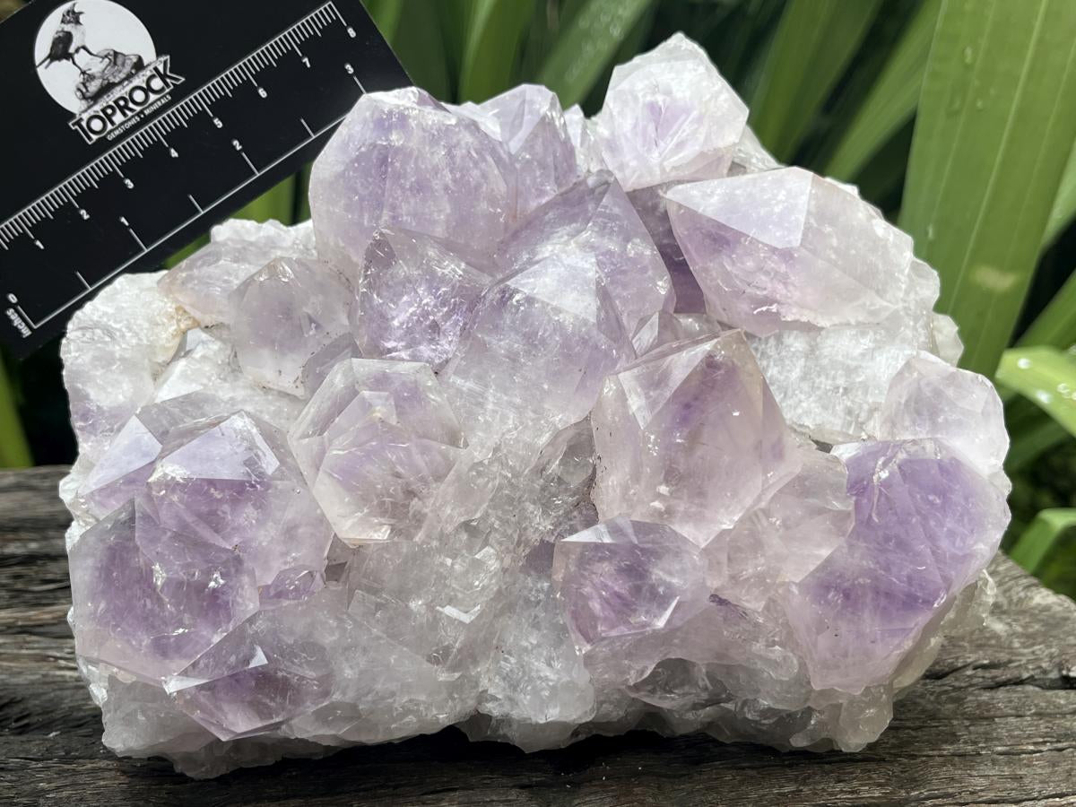 Natural Medium Jacaranda Amethyst Crystal Plate Cluster x 1 From Mumbwa, Zambia