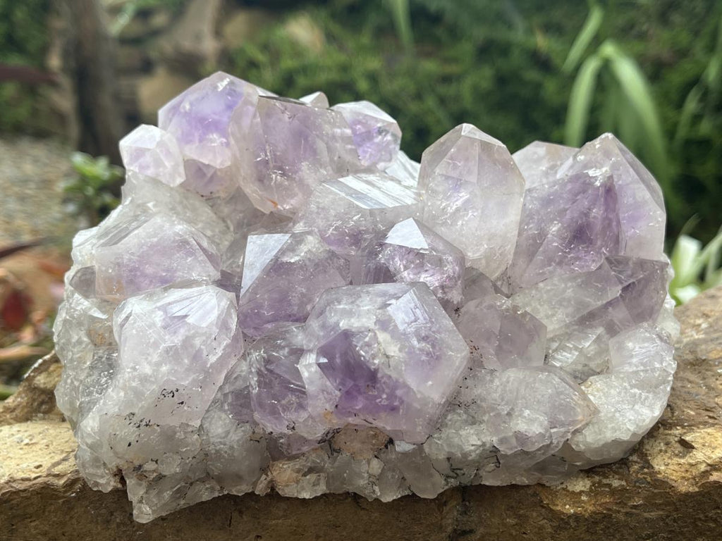 Natural Medium Jacaranda Amethyst Crystal Plate Cluster x 1 From Mumbwa, Zambia