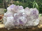 Natural Medium Jacaranda Amethyst Crystal Plate Cluster x 1 From Mumbwa, Zambia