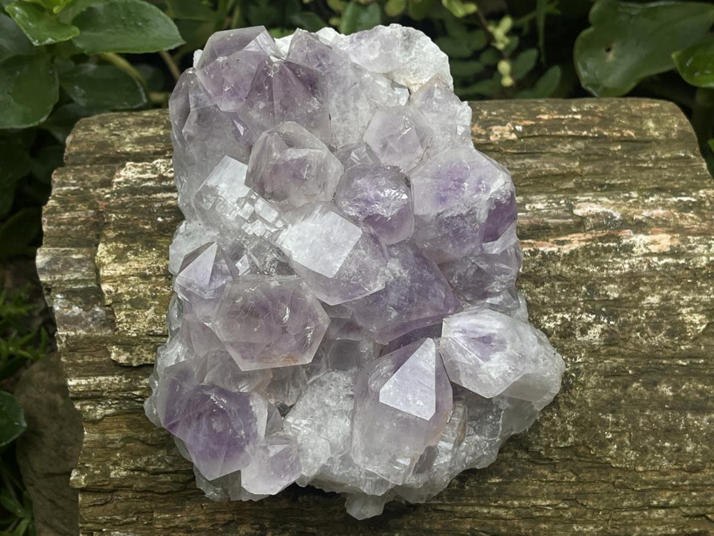Natural Medium Jacaranda Amethyst Crystal Plate Cluster x 1 From Mumbwa, Zambia